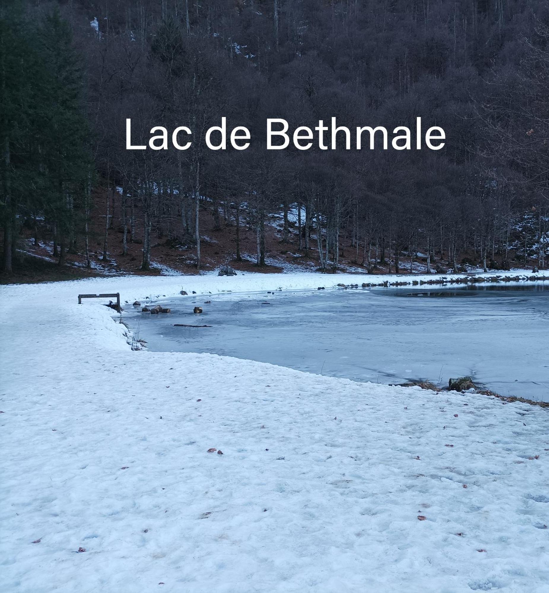 La Note Verte - Parking Gratuit Devant L'Entree Foix Eksteriør bilde